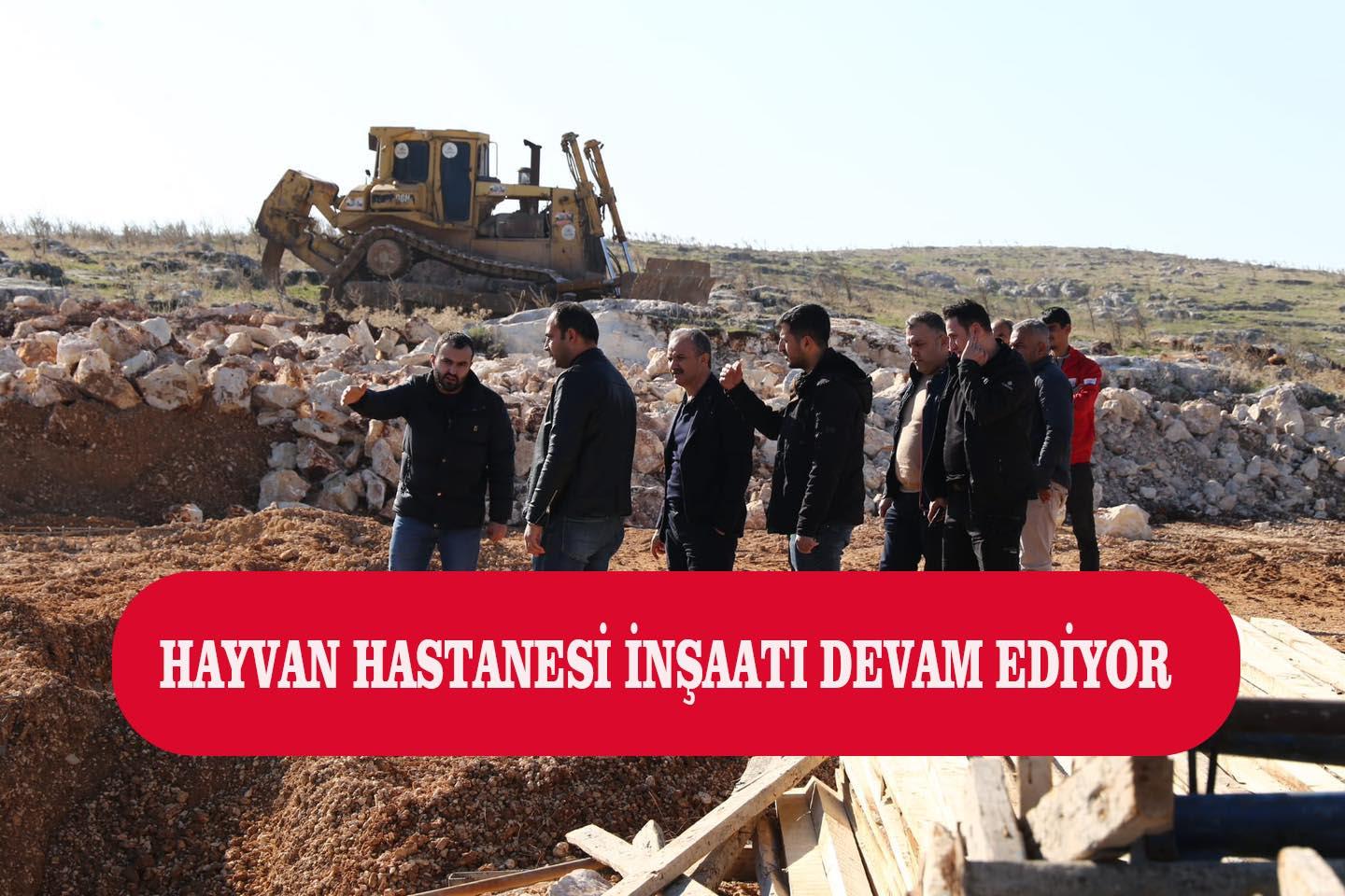 Hayvan Hastanesi İnşaatı Hızla Devam Ediyor