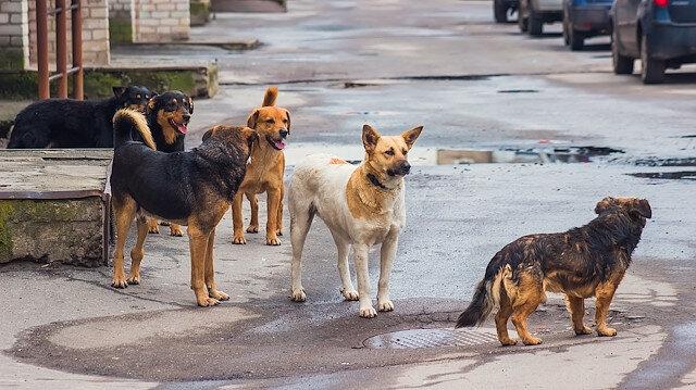 İSTANBUL VALİLİĞİ'NDEN AÇIKLAMA