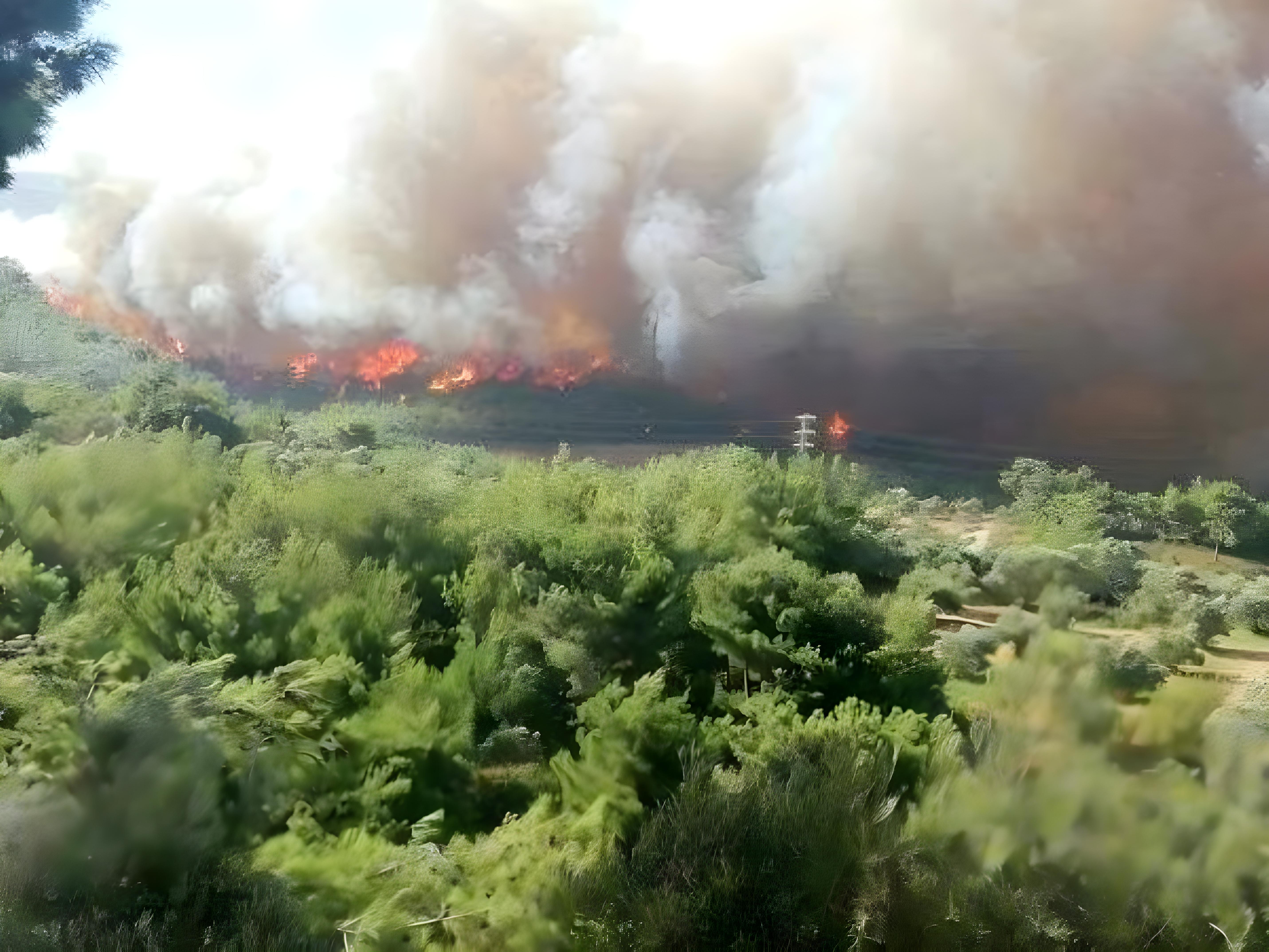 HATAY VE MUĞLA'DA ORMAN YANGINI