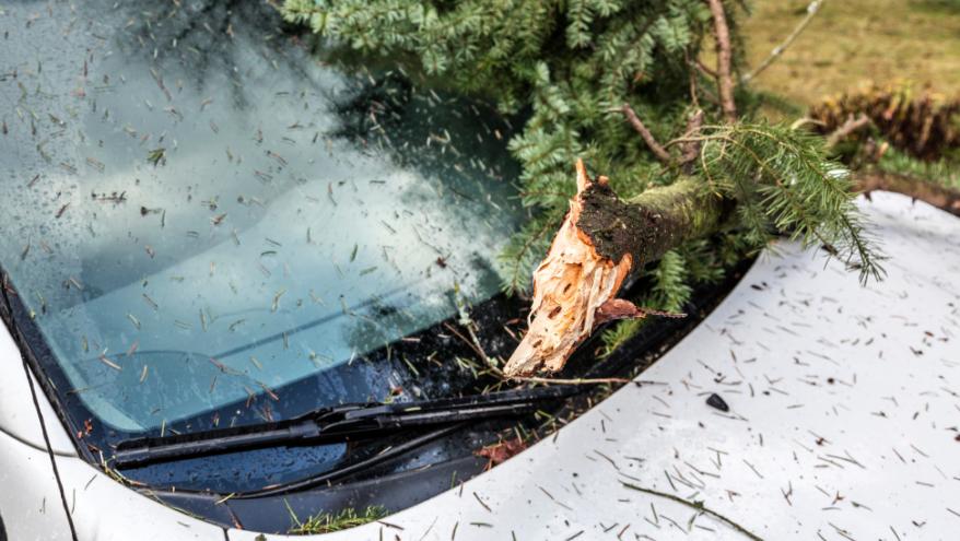 Bursa’da çıkan lodos park halindeki araçlarda hasara yol açtı