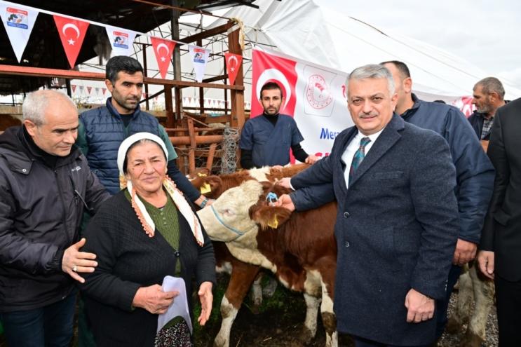 Malatya’da depremzede üreticilere büyükbaş ve sıvat dağıtıldı