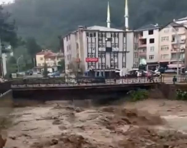 Ordu ve Muş’ta sel felaketi: 2 ölü